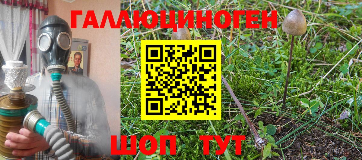 Галлюциногенные грибы Psilocybe Сатка