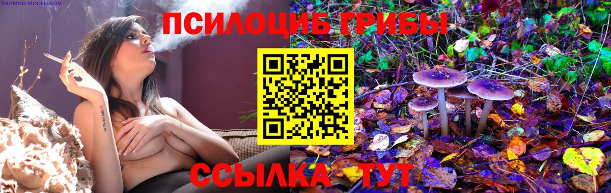 Сатка  Псилоцибиновые грибы Magic Shrooms  Псилоцибиновые грибы Magic Shrooms  Вход с VPN 
